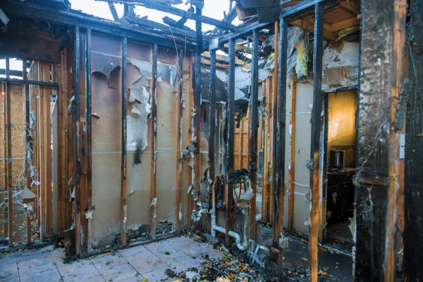 Professional Fire Damage Removal technician working in Tioga, ND